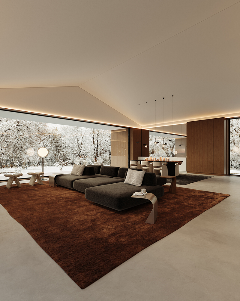 Private House Warsaw 2